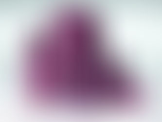 Beleza na Web traz com exclusividade a nova Wella Ultimate Color