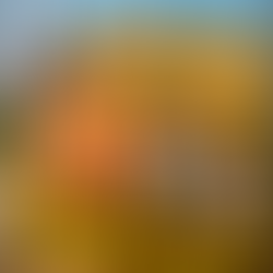 Mercado Livre e Grupo L’Oréal no Brasil lançam competição que levará criadores a Paris