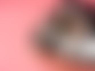 NECESSAIRE DE VIAGEM DAS CELEBRIDADES