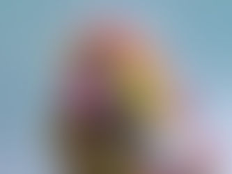 COTY DEFENDE ECO DESEJABILIDADE E TRANSPARÊNCIA EM RELATÓRIO DE SUSTENTABILIDADE DO ANO FISCAL DE 2025