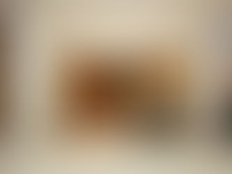 EXPANSÃO DA DUDALINA LEVA RECEITA A R$ 246,8 MILHÕES EM 2025