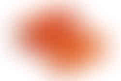 Palette Multifuncional Central Perk