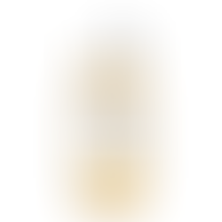 Centella Toning Toner, Skin1004