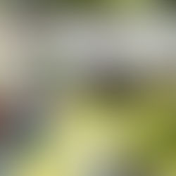 LA BOUTIQUE: COLEÇÃO RIO OPEN 2026 TRAZ ESTILO E ELEGÂNCIA PARA OS FÃS DE TÊNIS