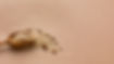 close-up-cereal-mix.jpg