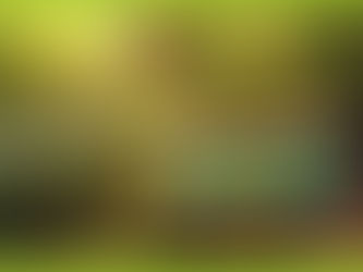 Do café ao banho: Palmolive explora sensorialidade brasileira