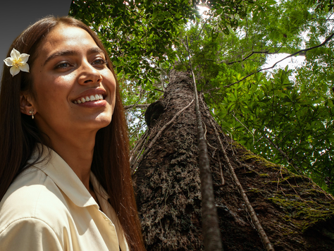 A BASF DESTACA SOLUÇÕES ADAPTATIVAS NA IN-COSMETICS LATAM 2025