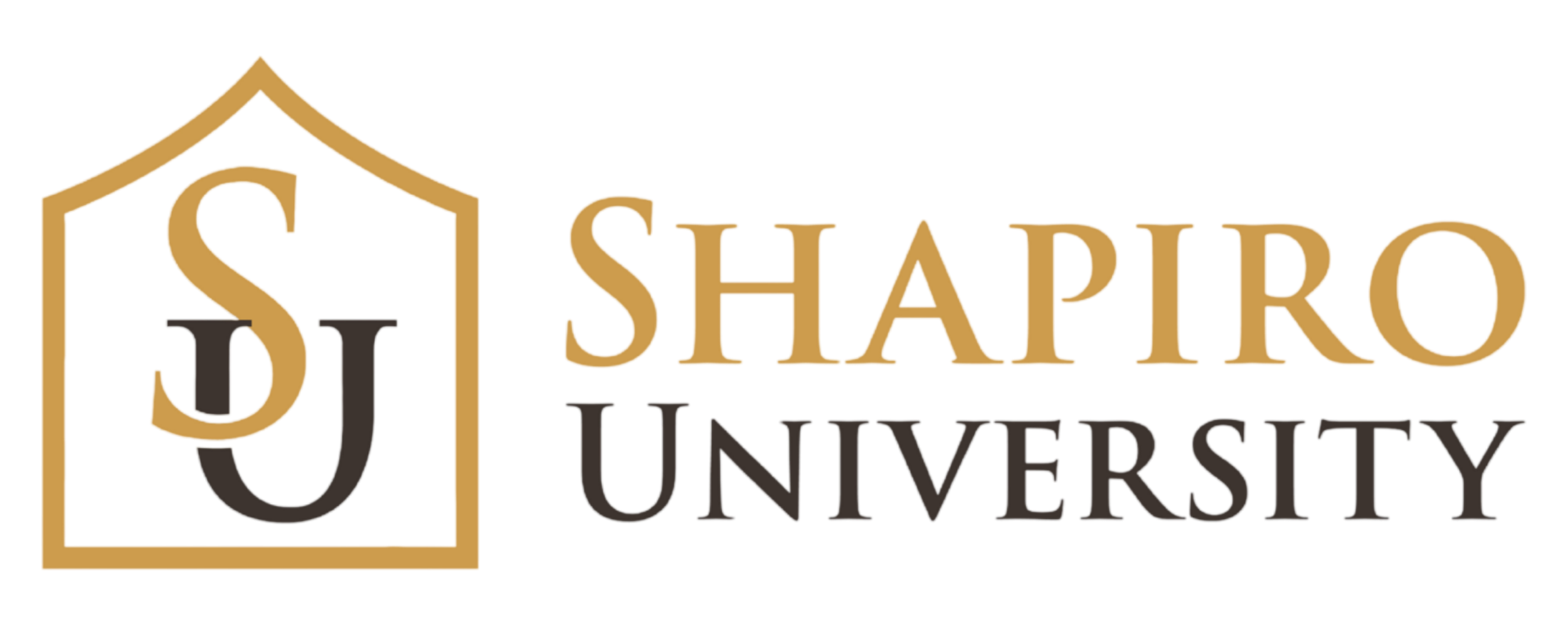 Shapiro University