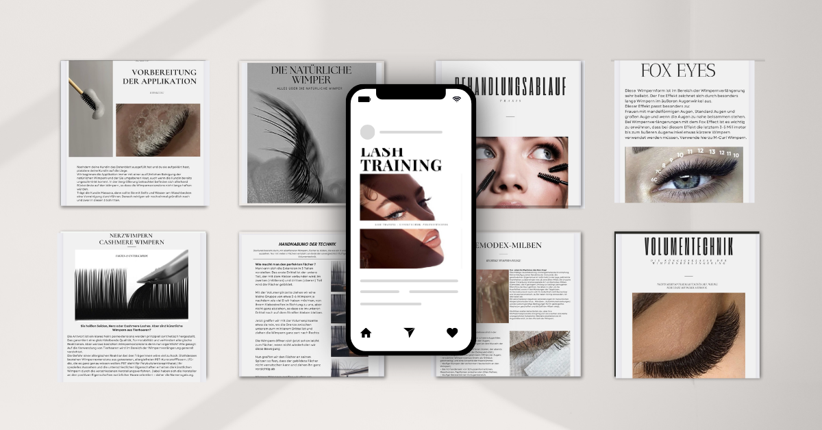 ONLINE SCHULUNG LASHTRAINING