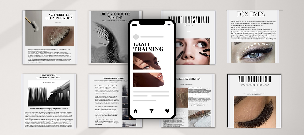 ONLINE SCHULUNG LASHTRAINING