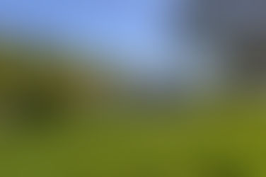 Myelom im Gepäck Seminar - noch Plätze frei!