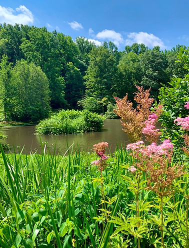 iwla pond