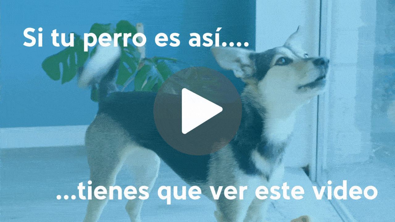 Gif de Registro CEC.gif