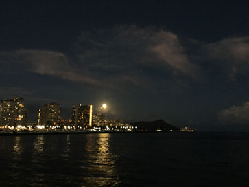 9161F474-00D4-4D26-824C-5A678B7E9530.jpeg