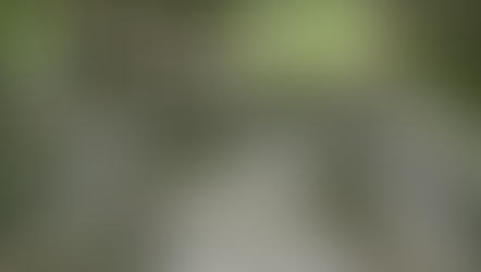 La Intuición en los Negocios