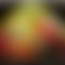 Seeing the Unseen: The Art of Peter Brandes in the Ahmanson Collection