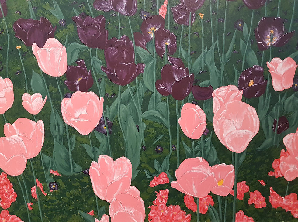 tulip garden