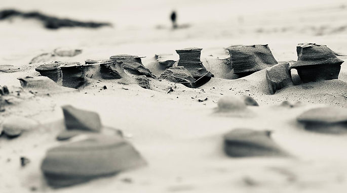 zand breed.jpeg