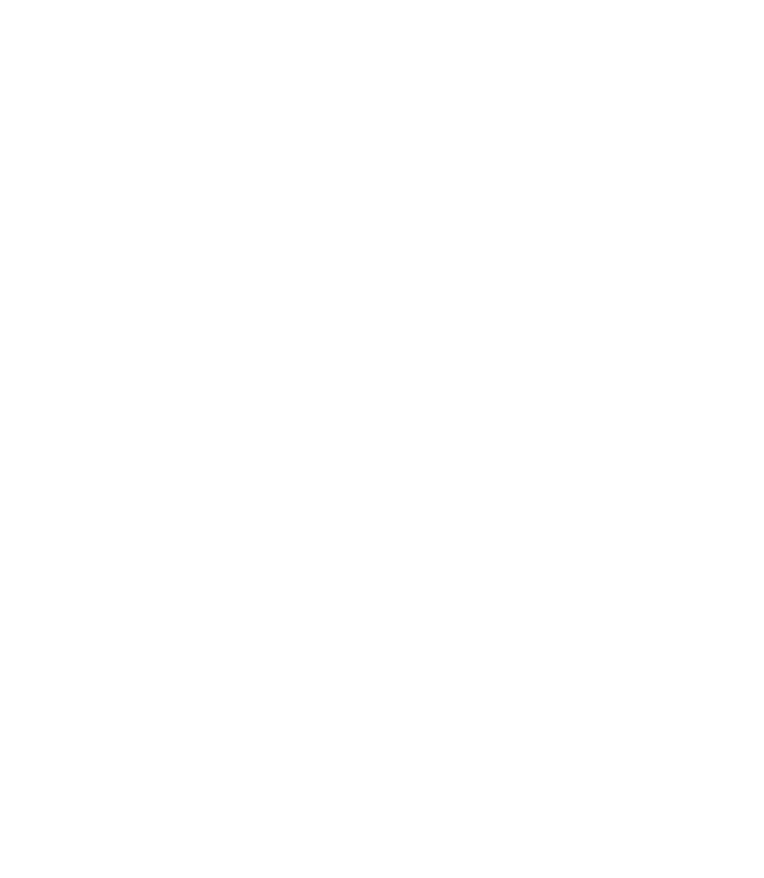 Logo weiß Kreisfeuerwehrverband Emmendingen