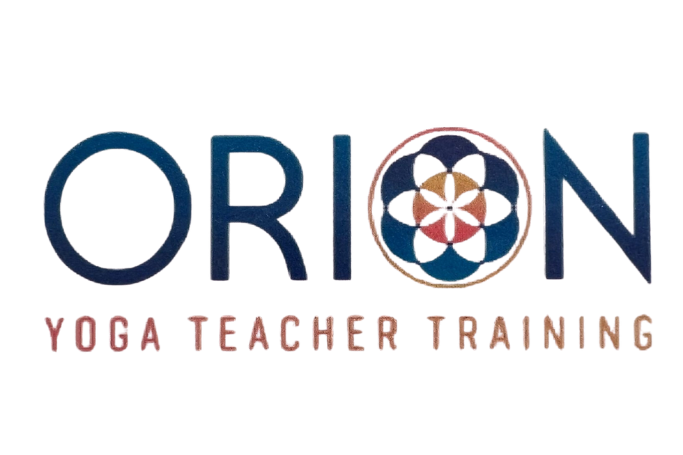 Logo Orion Technology Services