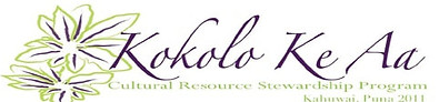 2011-logo_4.jpeg