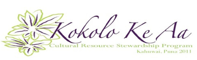 2011-logo_4.jpeg