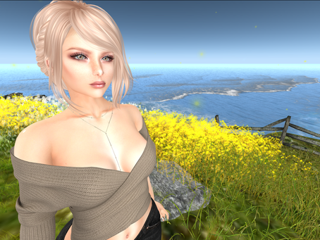 Do blondes REALLY have more fun?