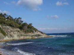 Beach to Cape - NE view