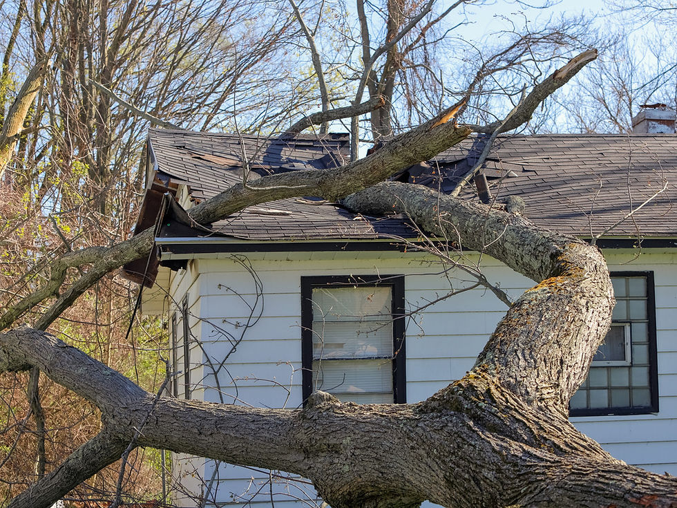 Real-Life Case Studies: How Michigan Public Adjusters Helped Maximize Settlements | Advocate Claims Services