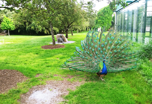 20180526_174644_edited.jpg