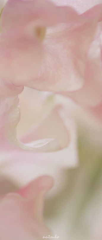 Post by _nut-cookie · 1 image.jpeg