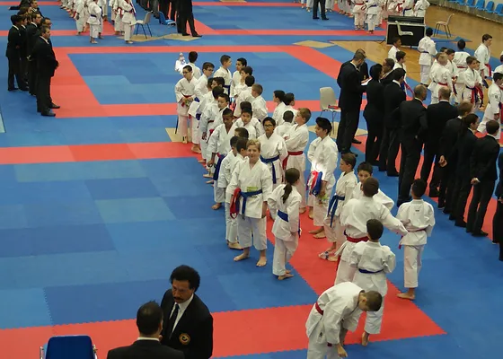 Galerie Shutokaratepeaule