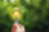 hand holding light bulb with tree inside on green blurred background to symbolise sustaina