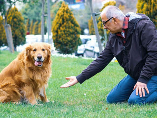 How to Introduce Your Puppy to Other Dogs (Safely!)