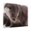 Thumbnail: European Otter — Wildlife Photographic Wall Art  print