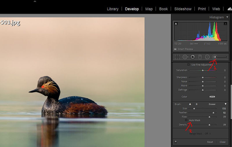 Very quick Lightroom adjustment brush tip