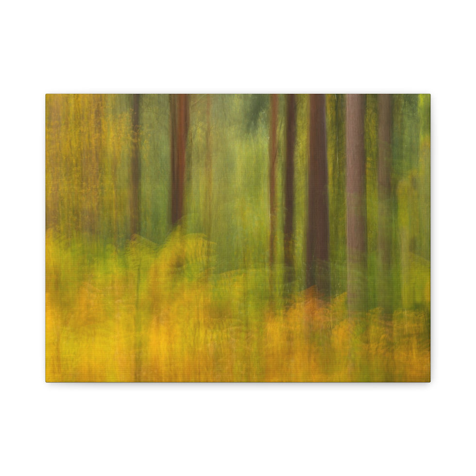 Blurred autumn forest with tall tree trunks and yellow-green foliage, creating a soft, painterly woodland scene.