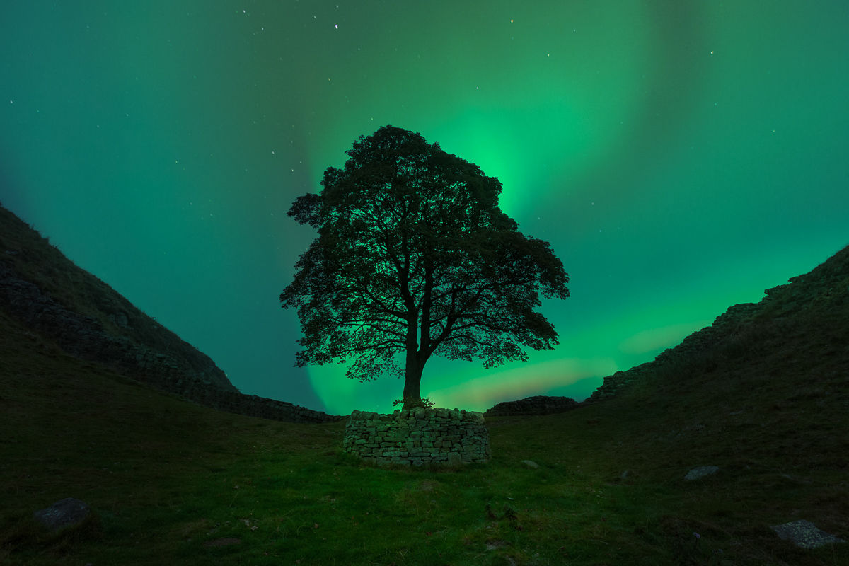 Sycamore gap, photographic print, with aurora borialis in the background