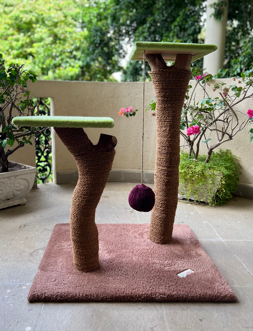 Thumbnail: Eco Cat 🐈 Tower