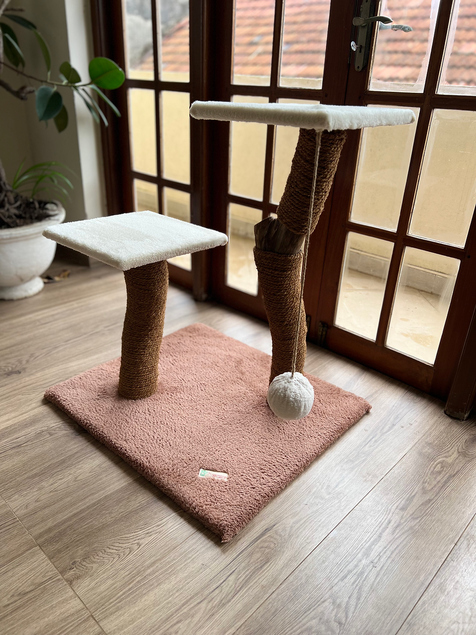 Thumbnail: Eco Cat 🐈 Tower