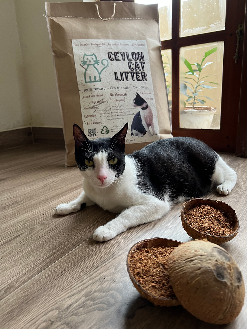 Thumbnail: Ceylon Cat Litter + 🐭 Toy by Kuppameniya – 750g Pack for Outstation Delivery 🐱