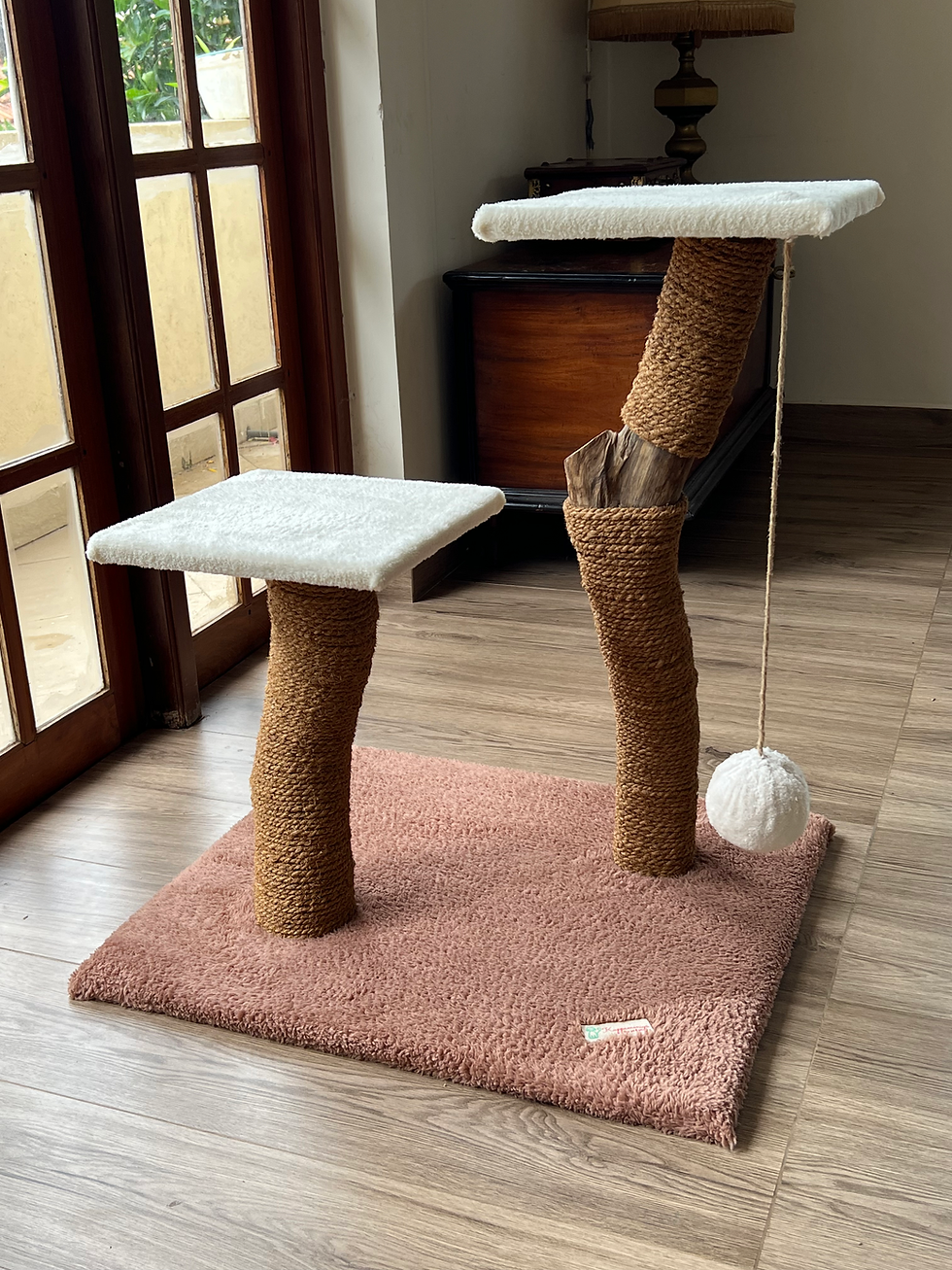 Thumbnail: Eco Cat 🐈 Tower