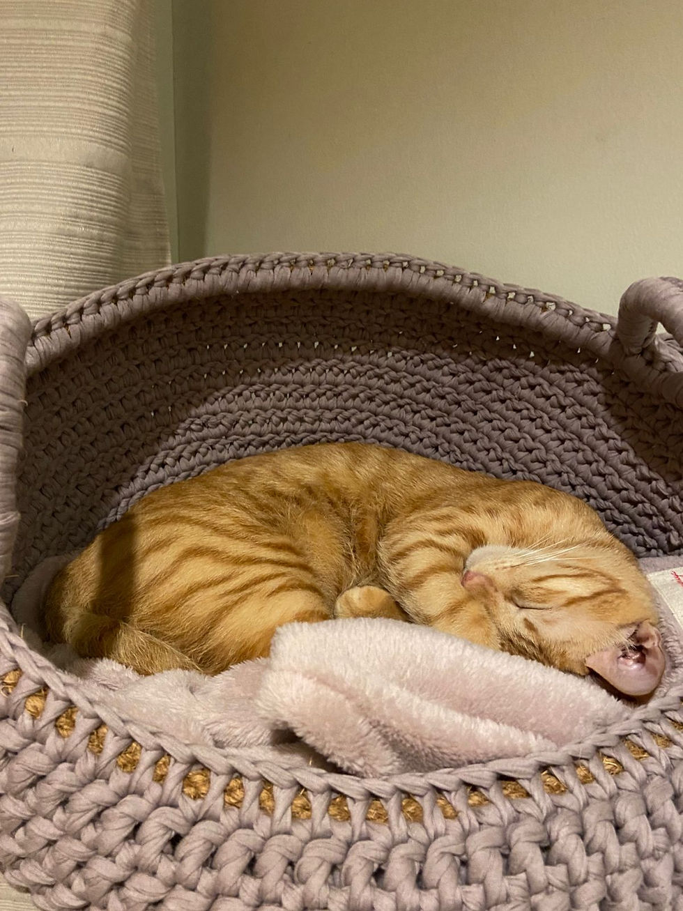 Thumbnail: Kitty Blanket