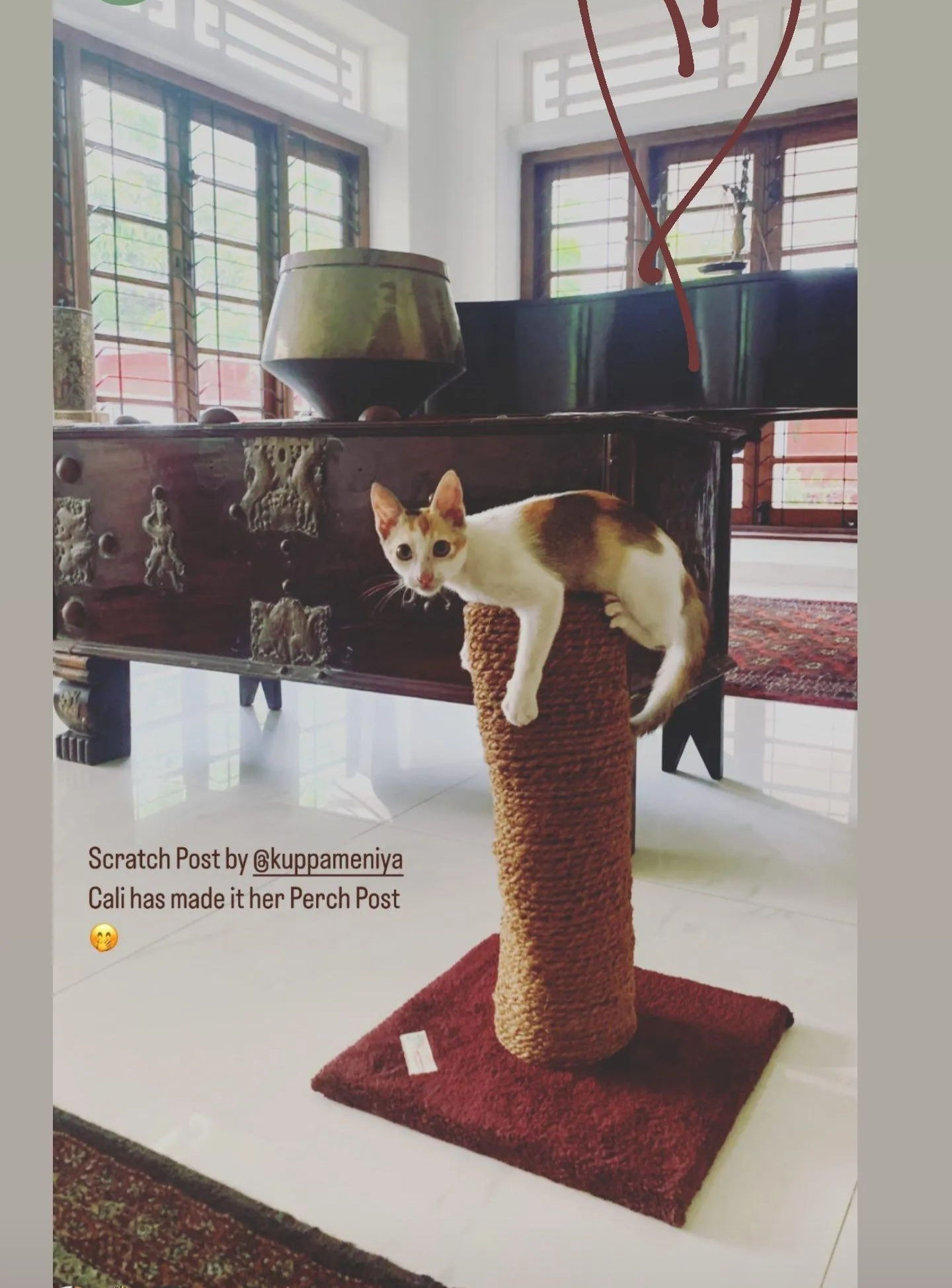 Small Totempole cat scratcher (Thicker)