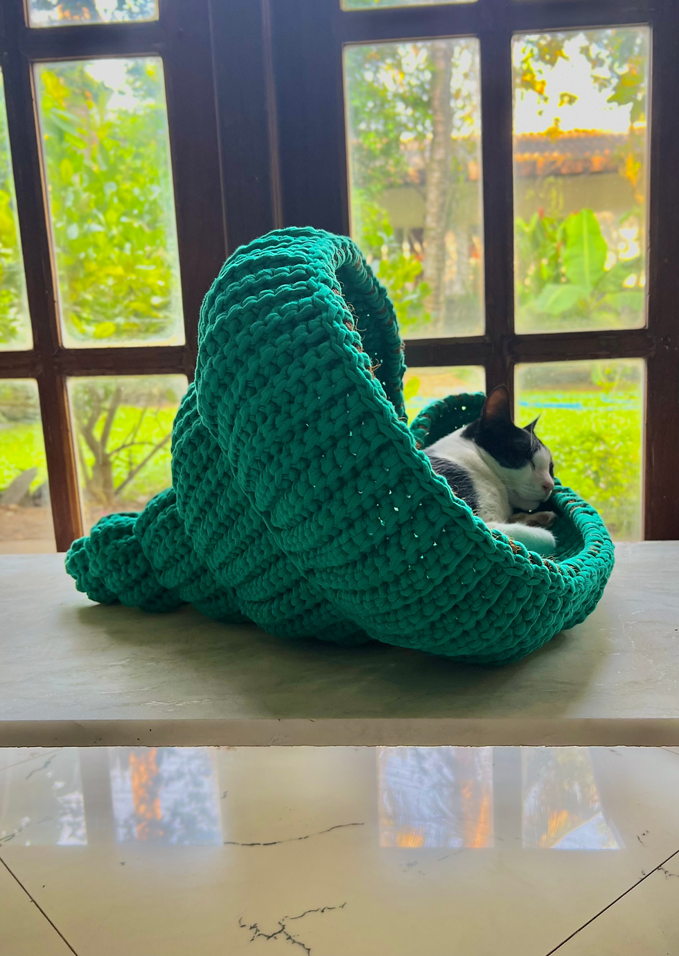 Thumbnail: Kitty Shell 🐚