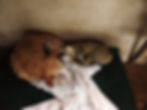 IMG-20230328-WA0005