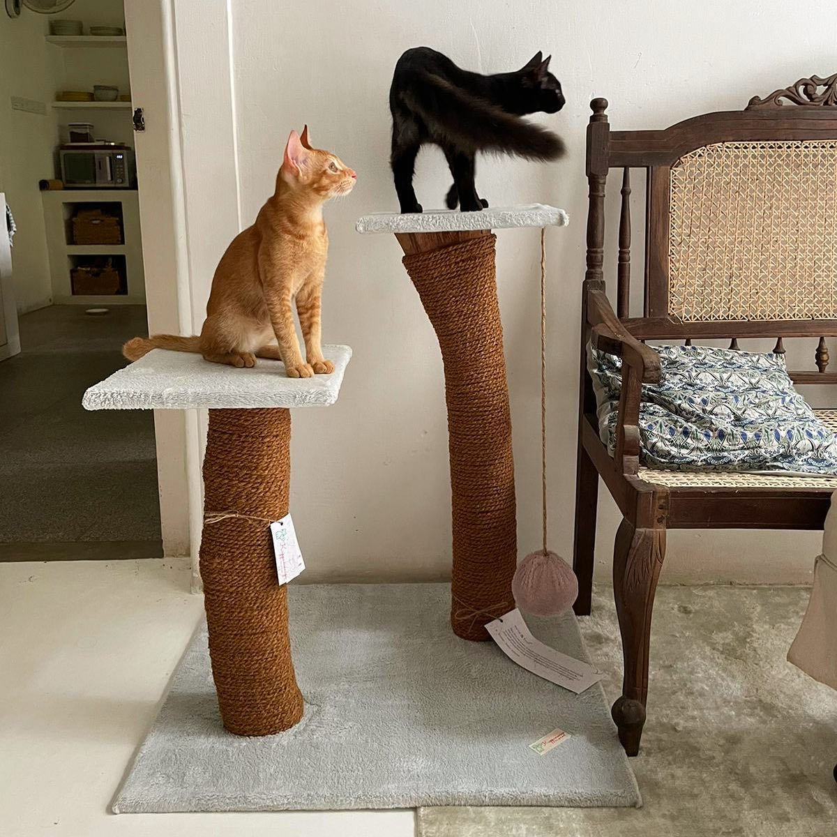 Eco Cat 🐈 Tower