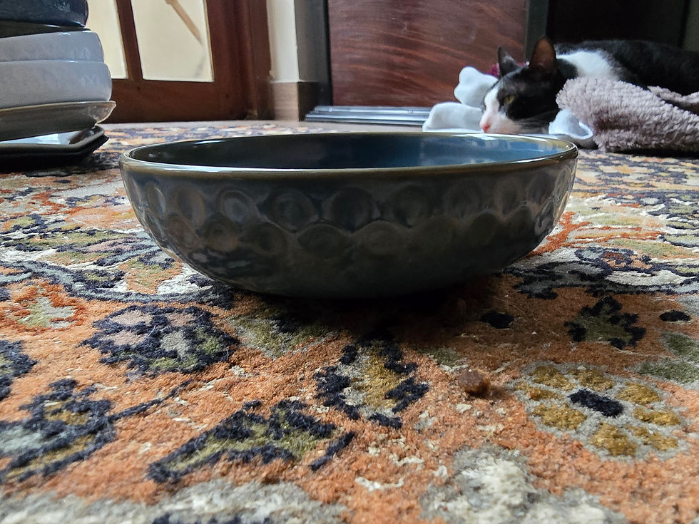Thumbnail: Ceramic Kitty 🐈 Bowl