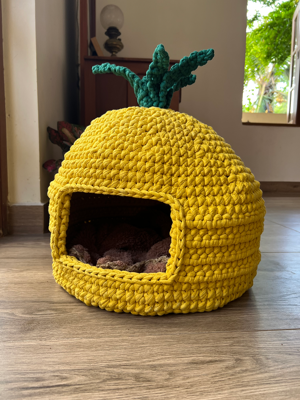 Thumbnail: 🍍The Pineapple Cat House