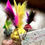Thumbnail: Mini Annasi feather toy by Kuppameniya